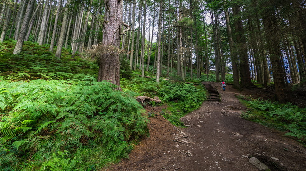 Family walking trails Conic Hill Stirlingshire